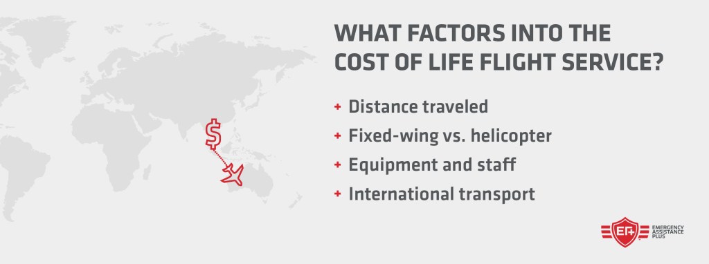 light flight service