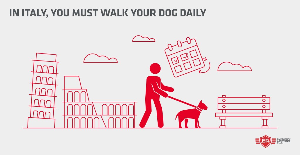 In Italy, you must walk your dog daily