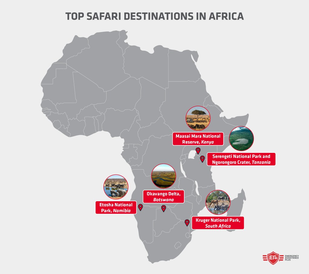 Top safari destinations in Africa